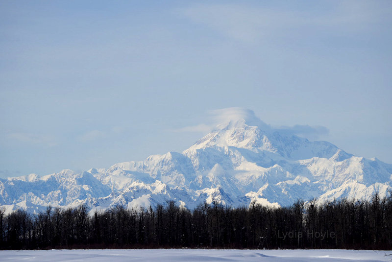 Denali in Alaska!