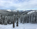 Winter back country in Idaho.