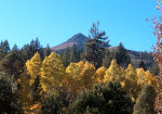 Fall Foliage in California