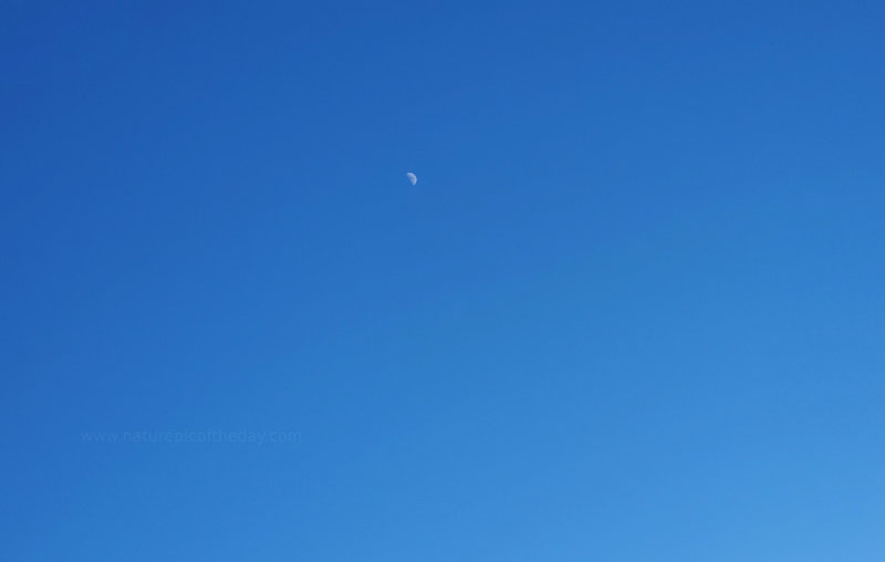 Bright blue sky, small white moon