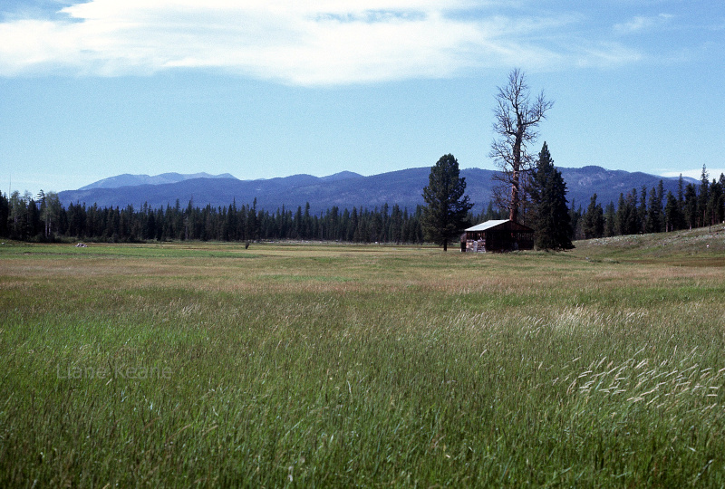Mountain Meadow in Montana