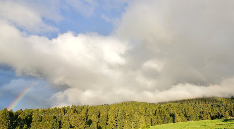 Rainbow in the spring