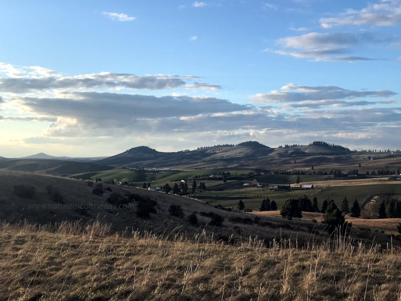 Sunlight on farmland