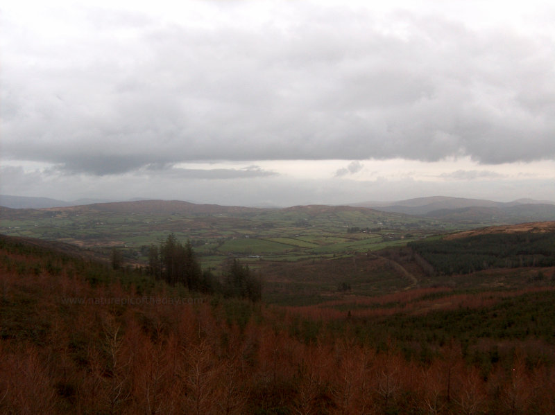 Ireland countryside