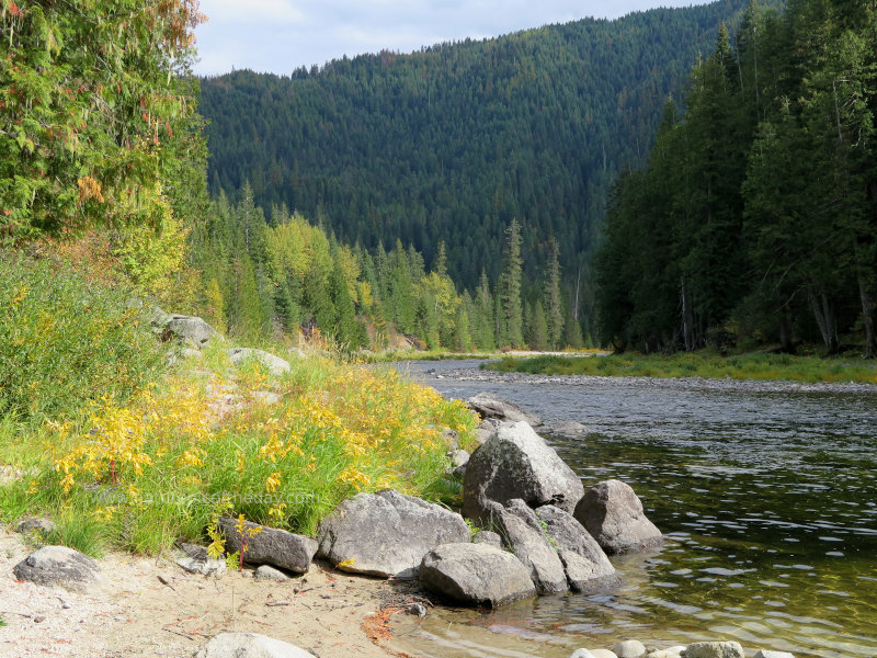 Selway River in Idaho