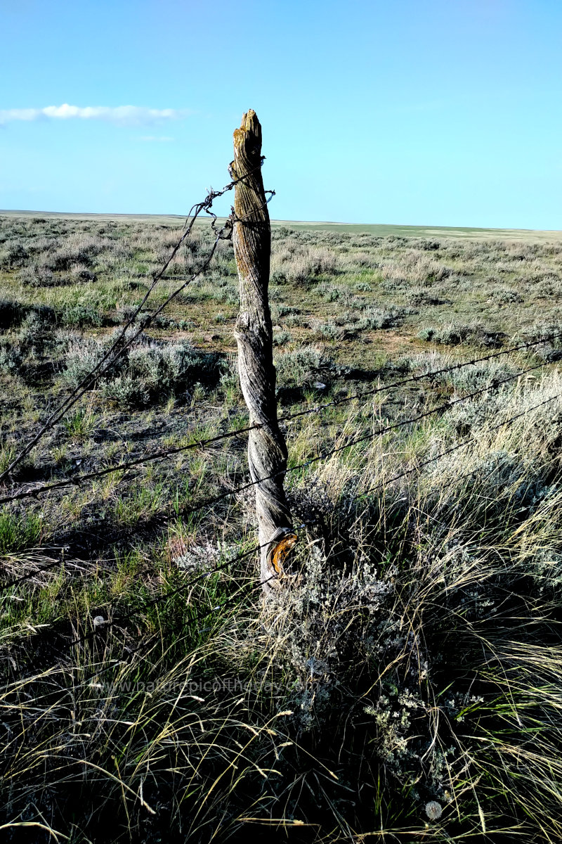 Fence in the Montana grasslands