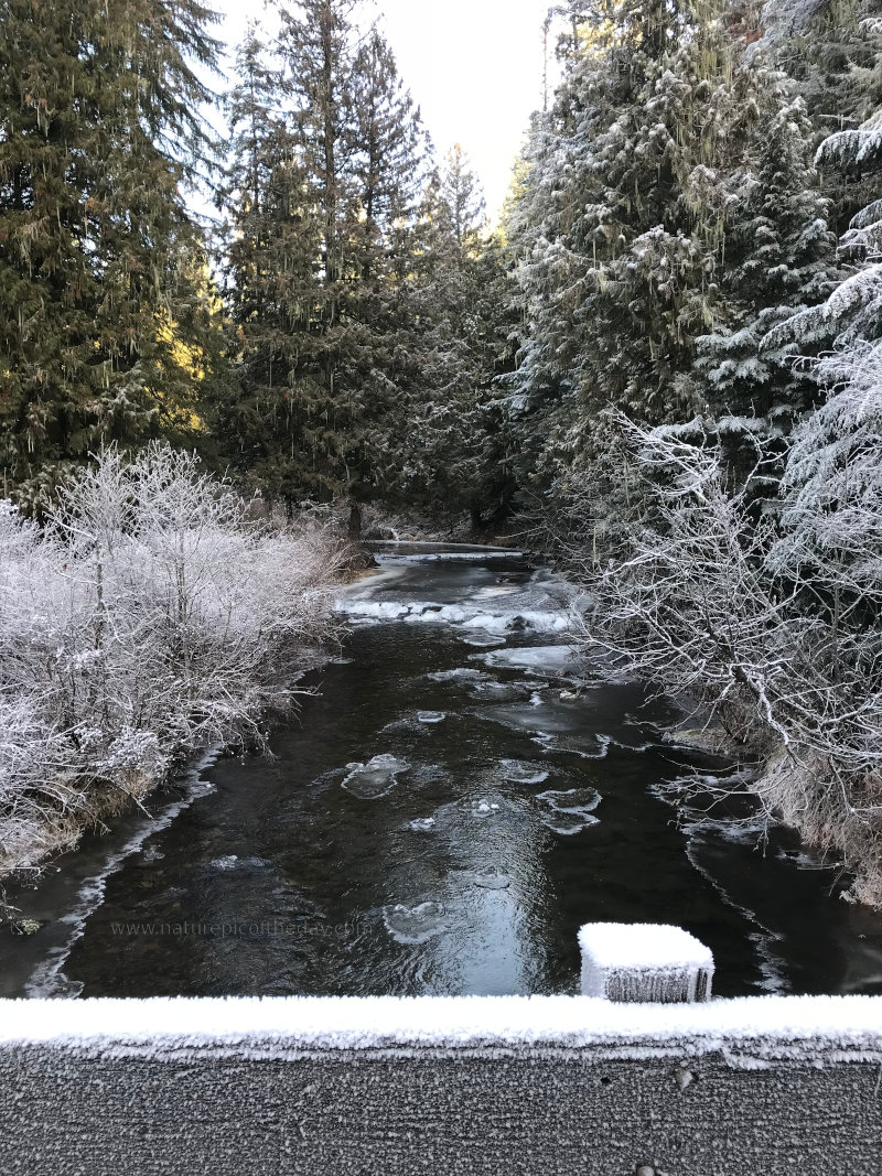 Frosty creek