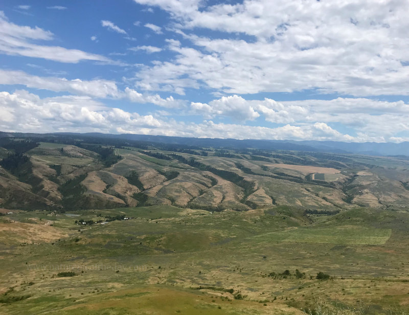 Ravines in Northern Idaho