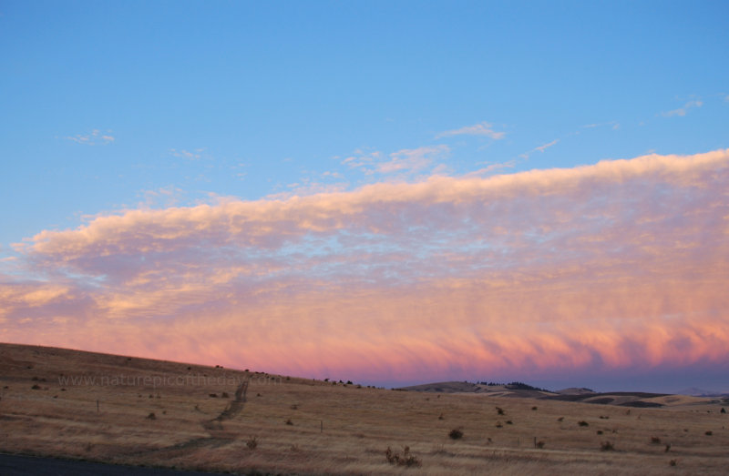 Light Bank Sunset