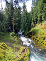 Mountain stream in Oregon