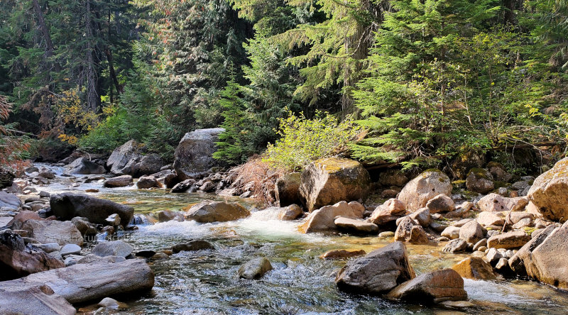 Mountain stream in the sunlight