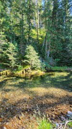 Creek in Montana