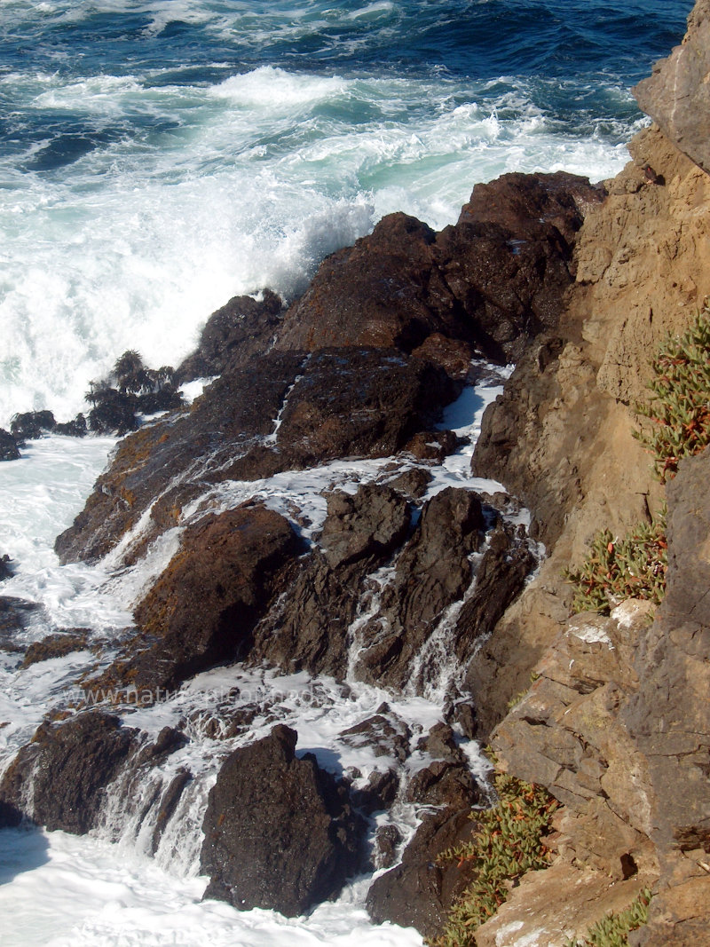 California Rocky Beach