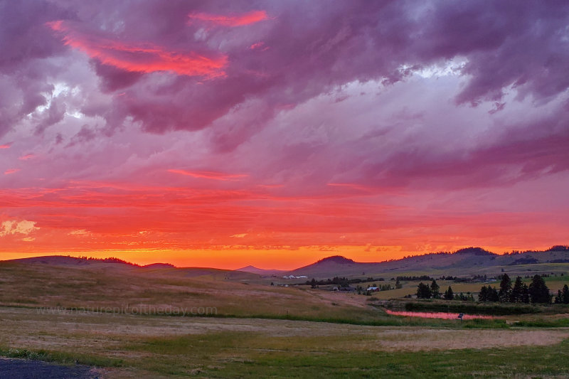 Sunset on the Palouse