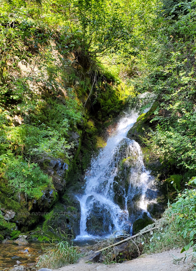 Waterfall on the Hiawatha Trail