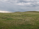 Montana Prairie