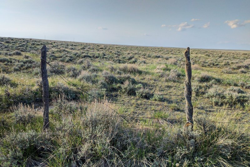Fence in Montana