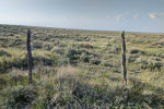 Fence in Montana