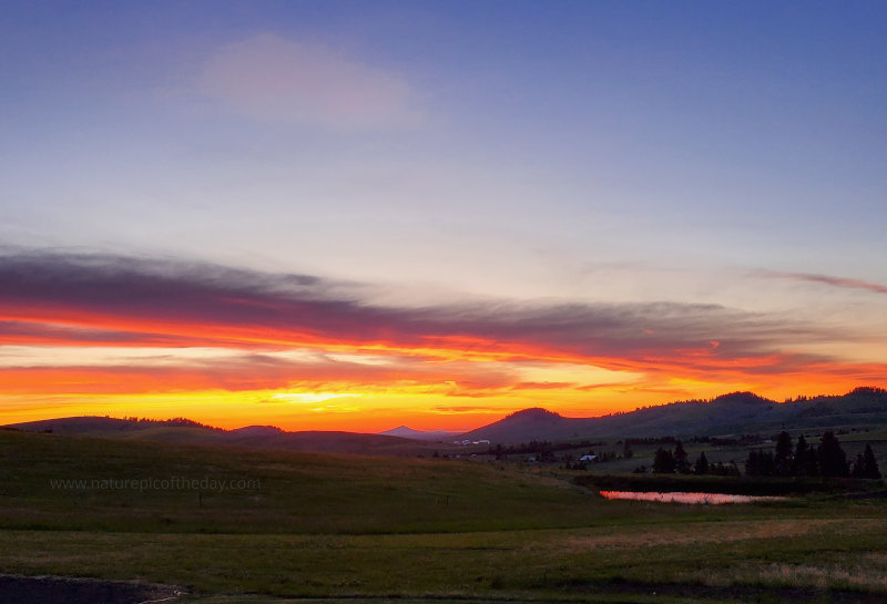 Sunset on the Palouse