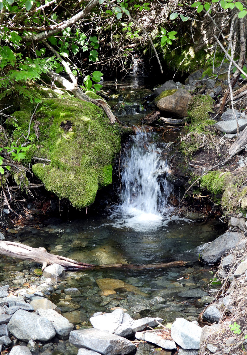 Boulder Creek Waterfall