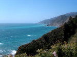 Flowers and Coast on Big Sur