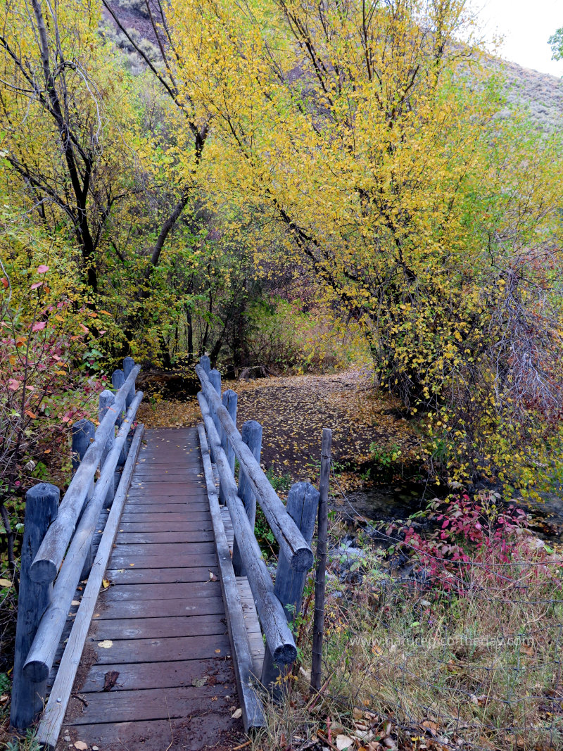 Bridge amongst the autumn leaves