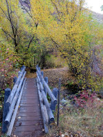 Bridge amongst the autumn leaves