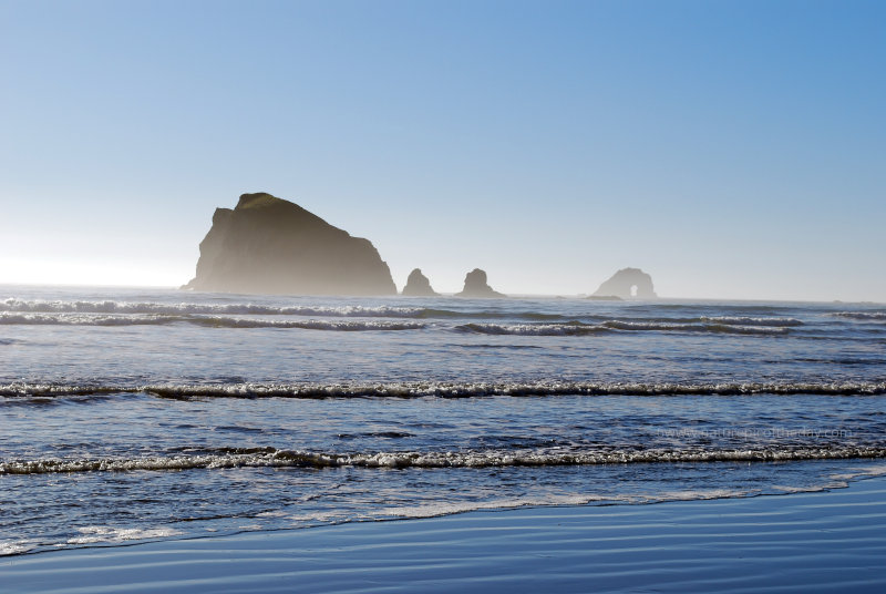 Waves on the bay