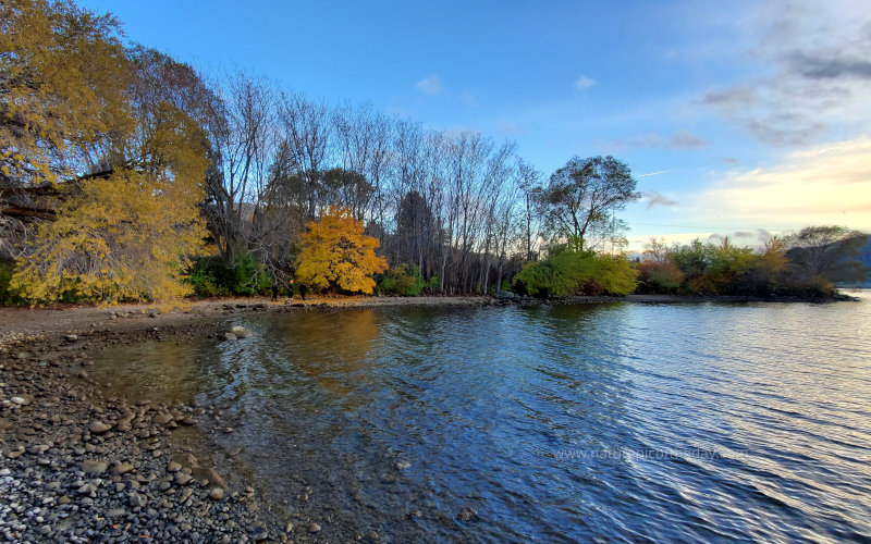 Fall colors in Wenatchee