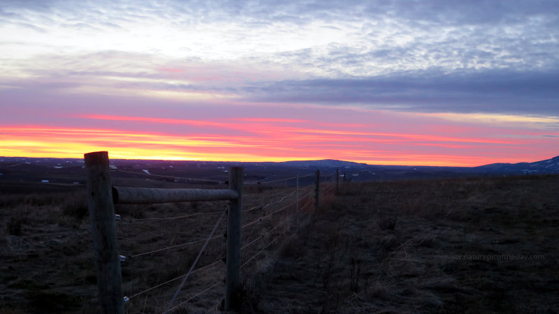 fence line