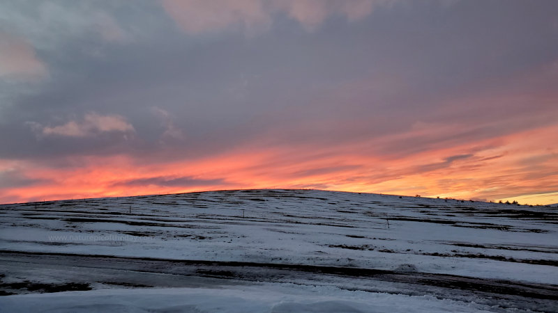 Sunset on the Palouse in Winter