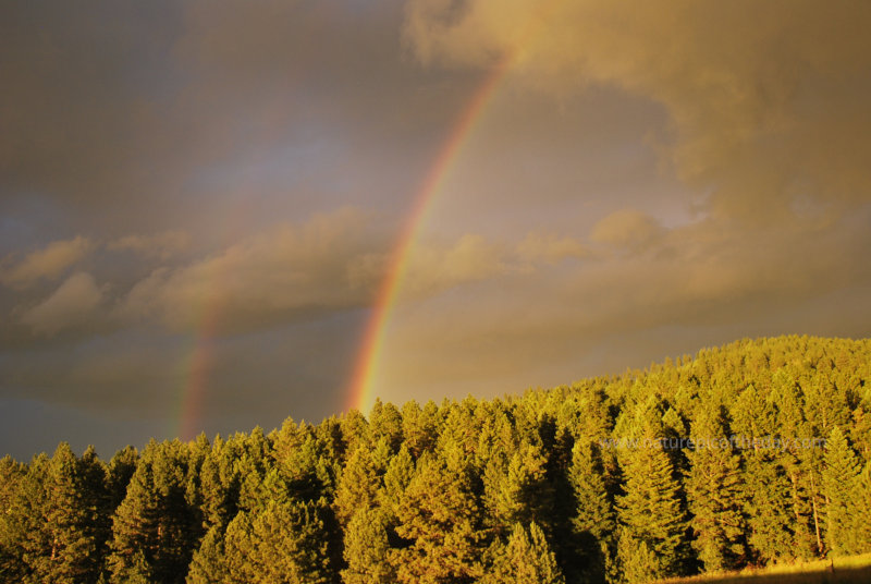 Double Rainbow