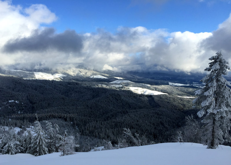 Winter in Idaho