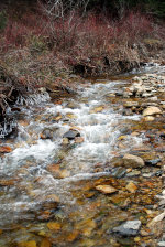 Cold mountain stream in winter