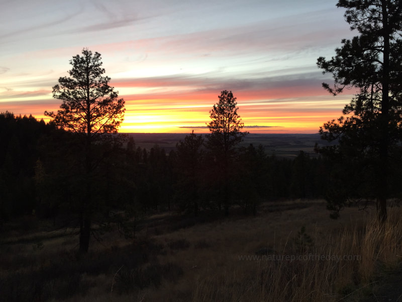 Palouse Sunset