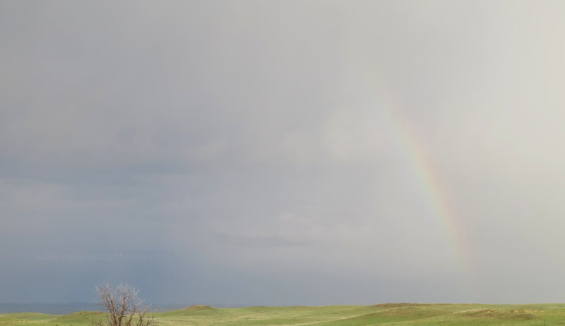 Rain on the Prairie