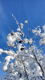 Snow and blue sky