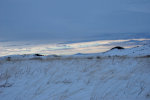 Grass bent in the wind and snow