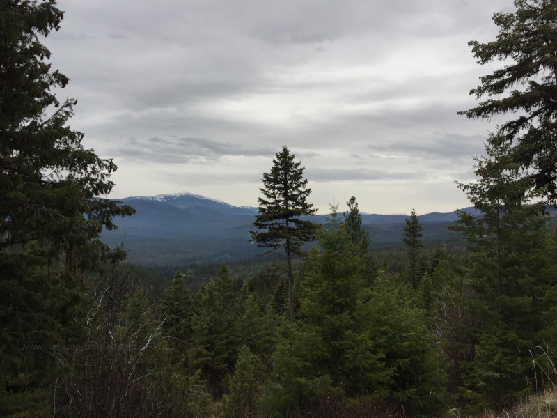 Rocky Mountains in Montana