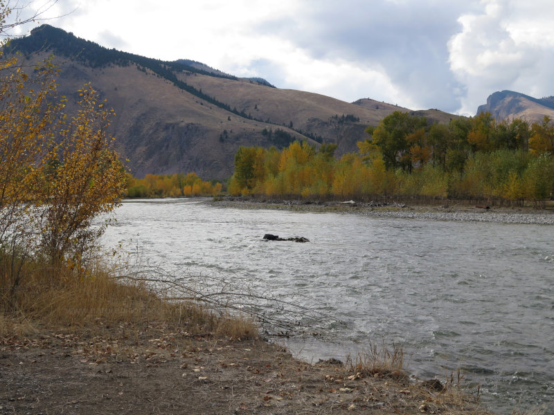 Salmon River in Idaho