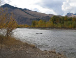 Salmon River in Idaho