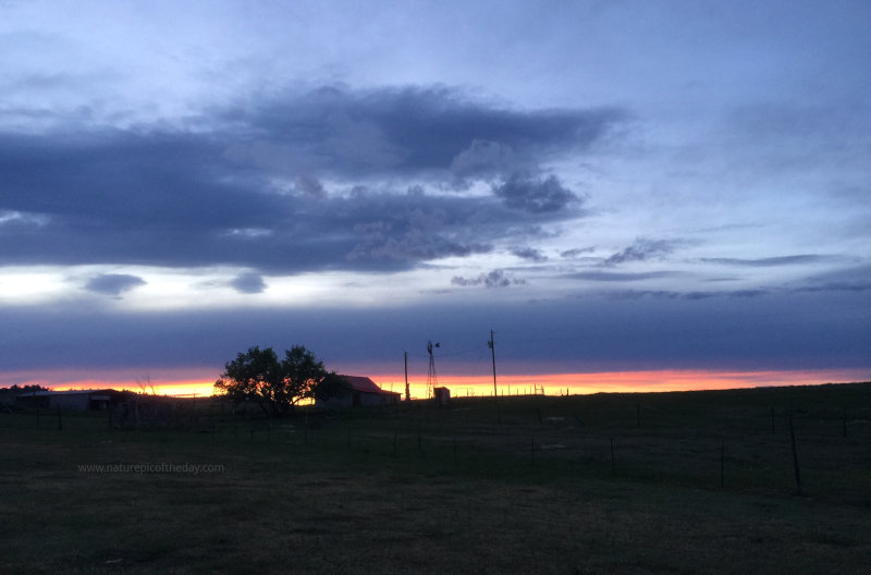 Homestead in Eastern Montana