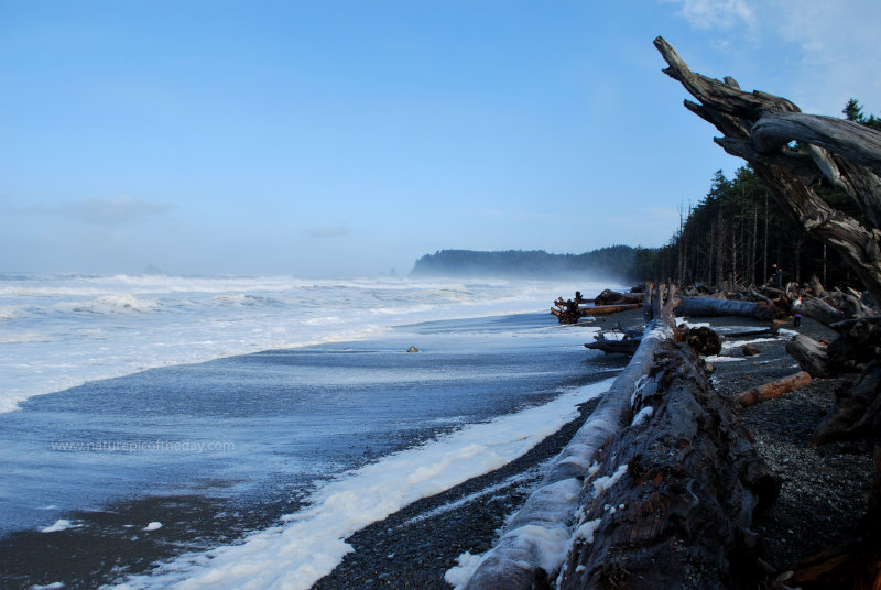 Rialto Beach in Washington State