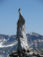 Watching over Crater Lake