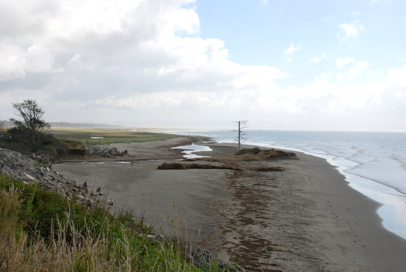 Tidal bay in Washington