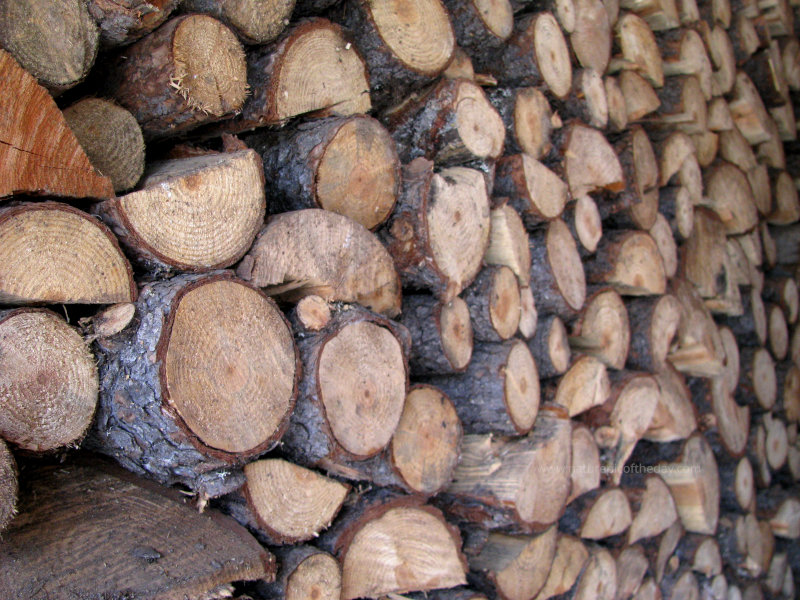 Firewood