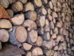 Firewood