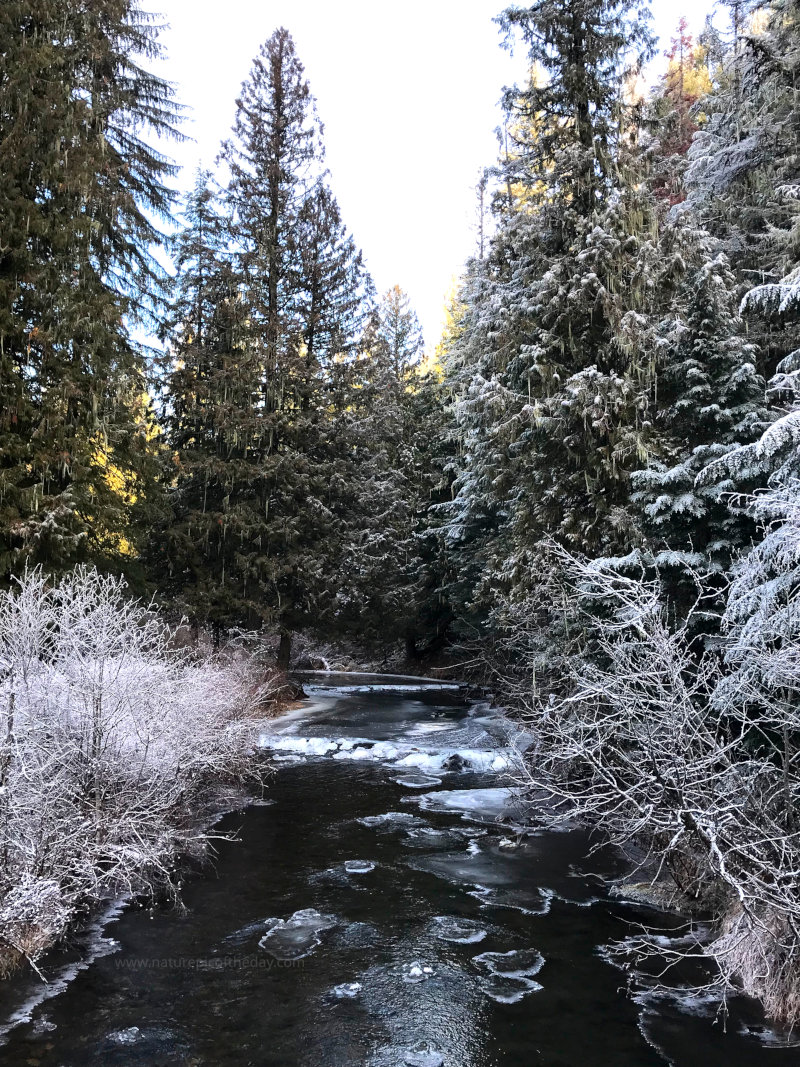 Ice on the water