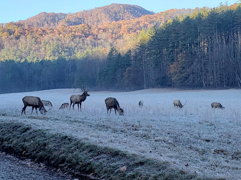 Great Smoky Mountains