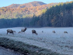 Great Smoky Mountains